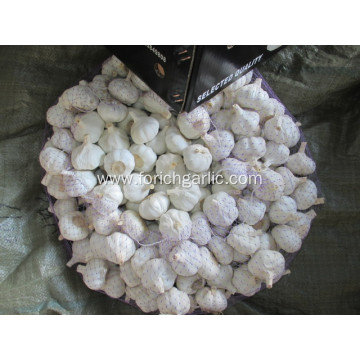 Top Quality Crop 2020 Pure Garlic